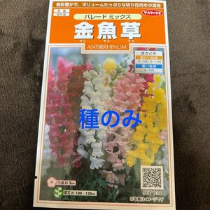 金魚草の種　パレードミックス　30粒