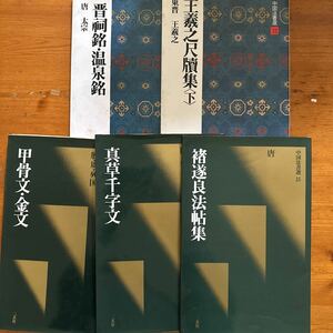 179 中国法書選　5冊　甲骨文・金文 真草千字文　温泉銘他 中国書道 二玄社　