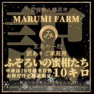 ☆ふぞろいの蜜柑たち☆訳あり10キロ☆送料無料