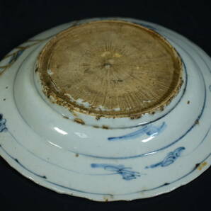 【和】(8245) 中国古玩 唐物 明 古染付鹿文皿 呉須皿の画像5