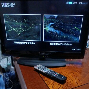 ☆SHARP LC-26V5 26インチ 液晶テレビ 2011年製！
