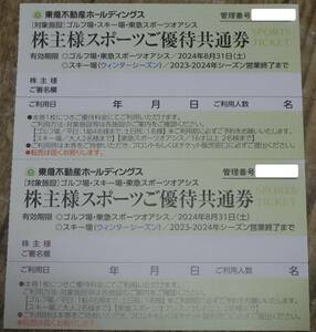 【送料無料】東急不動産 株主優待券 スキー場　リフト割引券　2枚セット ハンターマウンテン マウントジーンズ 2024年春シーズン終了まで