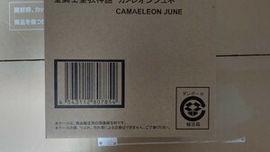 聖闘士聖衣神話　セイントクロスマイス　青銅聖闘士　カメレオン　ジュネ　魂ウェブ商店限定