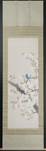 【五】山口玲熈 『八重桜』 真作 絹本 彩色 掛軸 共箱_画像2