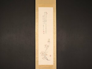 【模写】【伝来】sh3506〈帆足杏雨〉桜花一枝画賛 極箱 浦上春琴師事 幕末‐明治時代 文人画家 大分の人