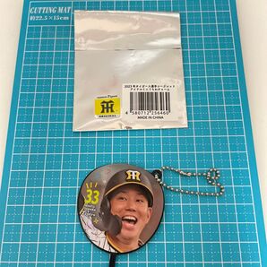 阪神タイガース 糸原健斗 ミニうちわ