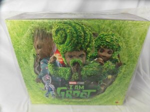 HOT TOYS I AM GROOT　グルート　コレクタブルフィギュア 中古品