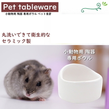 ハムスター 餌入れ グリーン 陶器 鳥 小動物 えさ皿 モルモット はりねずみ_画像2