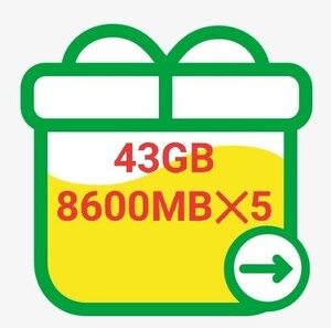 mineo パケットギフト 43GB マイネオ コード通知