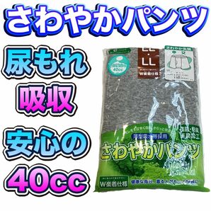 尿漏れパンツ さわやか安心の４０cc ボクサータイプ（申又） ＬＬサイズ ki009LL