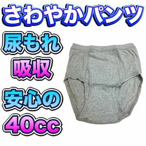 尿漏れパンツ さわやかパンツ 安心の４０cc ブリーフ Ｌサイズ ki008L