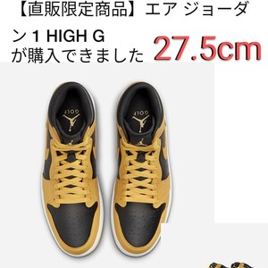 [NIKE.com購入] NIKE AIR JORDAN 1 HIGH Golf Pollen ナイキ エアジョーダン 1 ハイ ゴルフ パラン 27.5cm