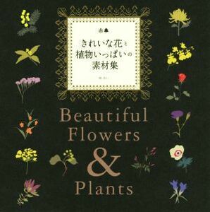 きれいな花と植物いっぱいの素材集／林あい(著者)