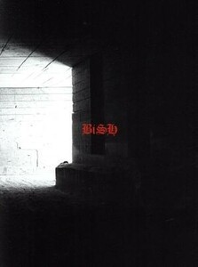 ｓｔｅｒｅｏ　ｆｕｔｕｒｅ（初回生産限定盤）（Ｂｌｕ－ｒａｙ　Ｄｉｓｃ付）／ＢｉＳＨ