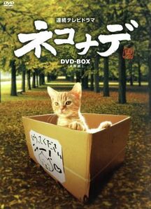 ネコナデ　ＤＶＤ－ＢＯＸ／小木茂光,ちすん,清水美那,野中“まさ”雄一（音楽）