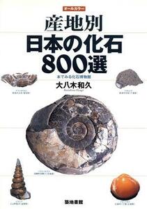 産地別日本の化石８００選 本でみる化石博物館／大八木和久(著者)