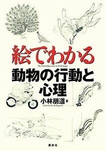 絵でわかる動物の行動と心理 絵でわかるシリーズ／小林朋道【著】