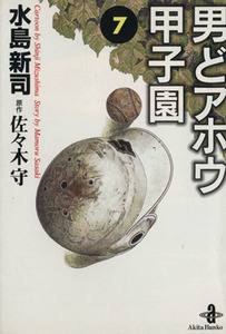 男どアホウ甲子園（文庫版）(７) 秋田文庫／水島新司(著者)