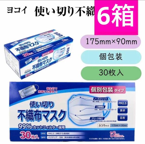 不織布マスク　個包装【30枚】6箱