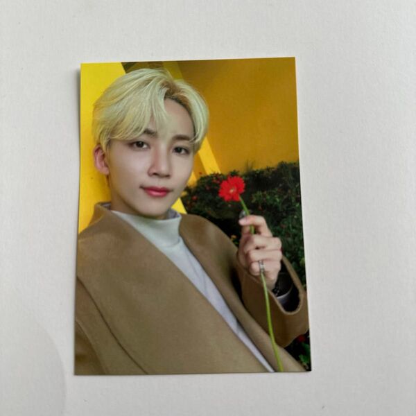 SEVENTEEN JEONGHAN トレカ
