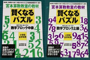 賢くなるパズル 数字ブロック 中級 上級 宮本哲也 宮本算数教室の教材