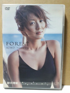 FOREST 紗川理帆 DVD