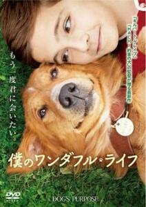 僕のワンダフル・ライフ レンタル落ち 中古 DVD