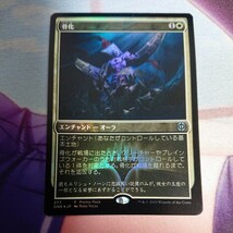 JP Foil (277)《骨化/Ossification》(プロモパック)[ONE-P] 白U 日本語 MTG_画像2