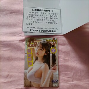 菊池姫奈　クオカード　別冊ヤングチャンピオン