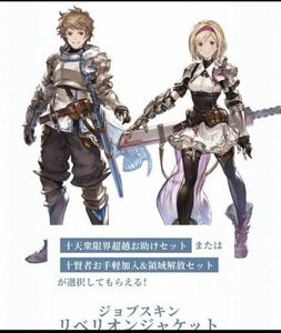 迅速対応 グランブルーファンタジー リリンク シリアルコード グラブルスペシャルアイテムセット Relinkパック グラブル シリアル グラブル