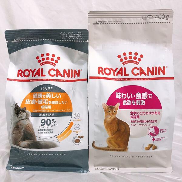 ロイヤルカナン　セイバーエクシジェント　と　ヘア&スキンケア　400g1袋ずつ　キャットフード　ねこ　ネコ　猫