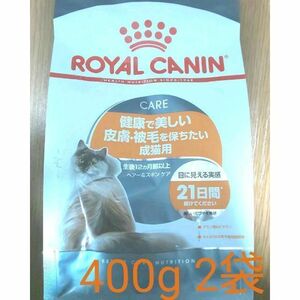 限定　ロイヤルカナン 猫 キャット ヘアー&スキン用　キャットフード　#鍵しっぽネコの森キャットフード