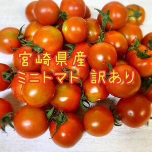 宮崎県産 ミニトマト 訳あり 3kg バラ詰め