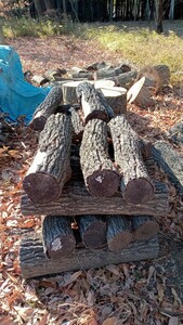 薪ストーブ用、薪です。本年度伐採しました。未乾燥ですが薪割りには割りやすいはずです。軽トラック一台分です！宜しくお願い致します!