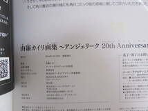 由羅カイリ画集 アンジェリーク20th Anniversary _画像7