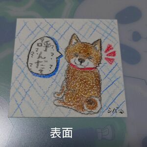 手描きイラスト　原画　柴犬の絵　リバーシブル　ミニカード