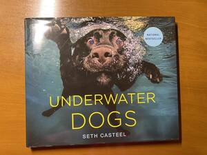 中古本！英語版/UnderWaterDogs/犬の写真集