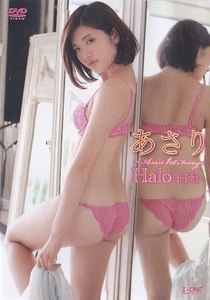 あさり　 Halo