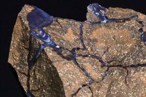 ボルダーオパール 特有の青味 63g 天然石 結晶 原石 鉱物 標本 コレクション | オーストラリア クイーンズランド産