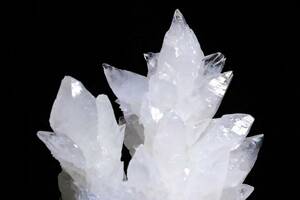 氷の植物のような芸術的結晶美 51g 天然 アラゴナイト カルサイト 天然石 原石 鉱物 標本 コレクション | メキシコ チワワ州産