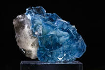 21g 気持ちいい透明感あるブルーゾーニングの世界 天然 フローライト キュービッククラスター クォーツ 天然石 結晶 鉱物 標本｜中国_画像8