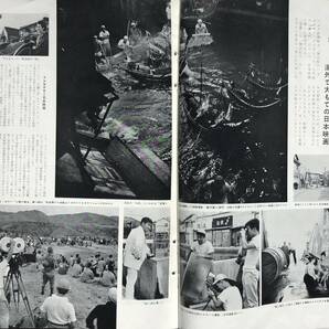 【1958年】国際写真情報 1958年 11月号 国際情報社 昭和33年 映画 大怪獣バラン ゴジラの逆襲 地球防衛軍 台風22号 13人兄弟 ミサイル開発の画像4