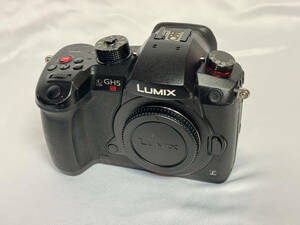 【送料無料】 Panasonic LUMIX DC-GH5S