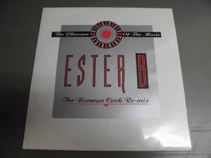 ESTER B/THE PLEASURE OF THE MUSIC(THE NORMAN COOK RE-MIX)/2214