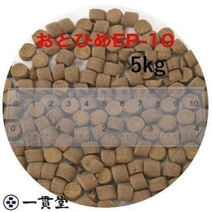 おとひめEP10(約8.0～約10.0mm) 5kg(500g×10袋) 沈降性(沈下性) 日清丸紅飼料 金魚 アロワナ 肉食魚に