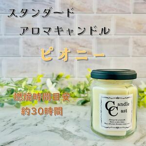 [ standard aroma candle ]pio knee [soi candle ]