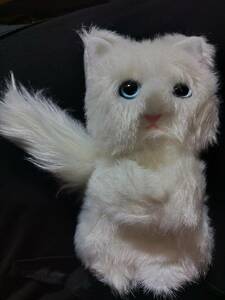 未使用 SUGAO スガオ 猫ポーチ 白猫　ねこ ネコ ペンケース 化粧ポ－チ 限定 ポーチのみ 外箱なし