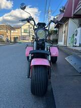 【BLAZE EV TRIKE】 ブレイズEVトライク ルージュピンク 別売り専用大型ラック付き （奈良県橿原市 直接取引可）_画像1