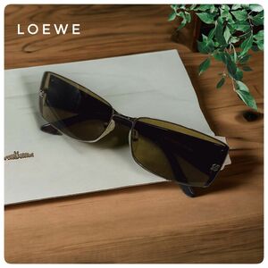 高級感漂う【LOEWE 】ロエベサングラス　SLW170 ブラウン×ゴールド