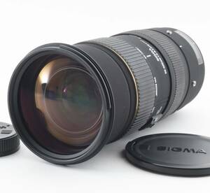 SIGMA EX 50-500mm 1:4-6.3 APO DG シグマ PENTAX用 [美品] #2038A